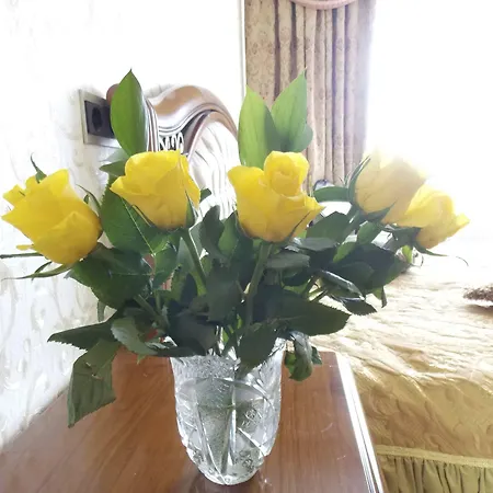 Weena House 3* רוטרדם