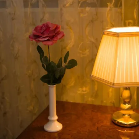 Weena House Nocleg ze śniadaniem Rotterdam