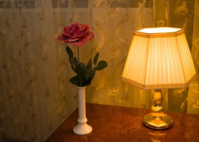 Weena House Bed & Breakfast Rotterdam