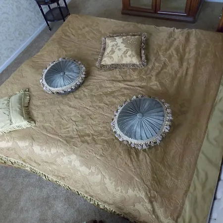 Oda ve Kahvaltı Weena House Rotterdam